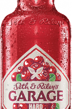 Пиво светлое Garage Hard Lingonberry Drink 4,6% 0.5л оптом