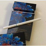 Сигареты RGD 96 Blue (кнопка) оптом